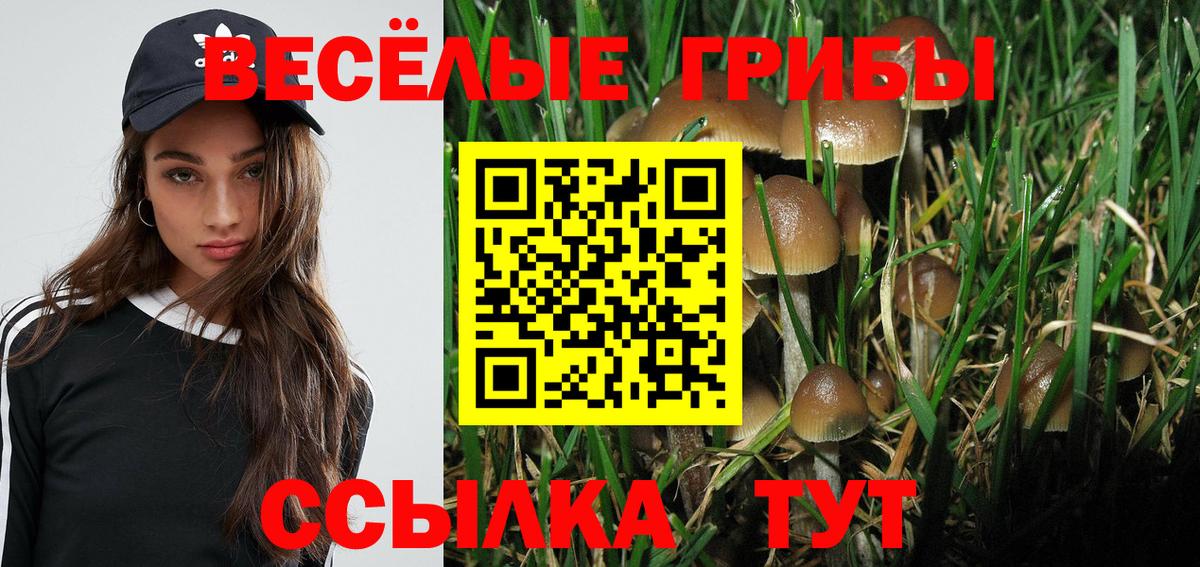 Галлюциногенные грибы Psilocybe  Псилоцибиновые грибы прущие грибы  Вход с VPN  Сатка 